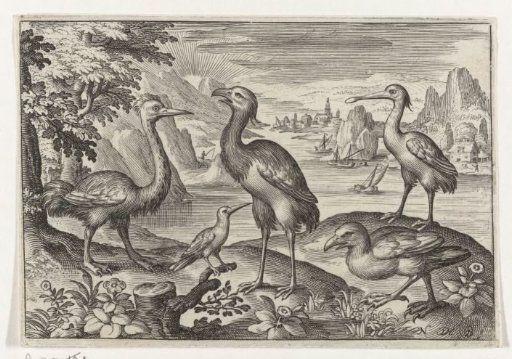Crowned crane between two ostriches