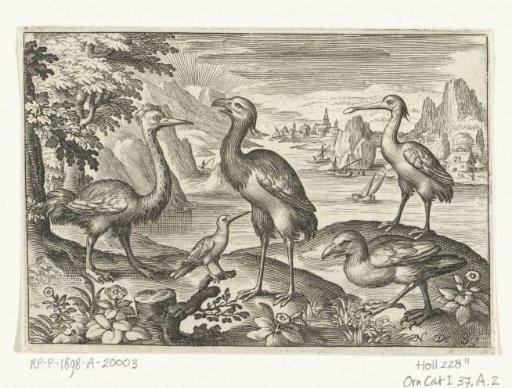 Five birds including spoonbill