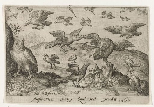 Owl with prey attacked by other birds