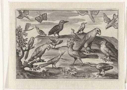 Bittern and other birds