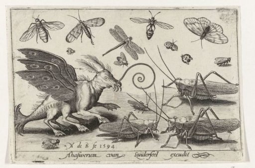 Grasshoppers and fantasy creatures with wings and webbed feet