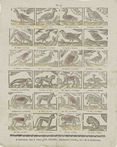 Animals