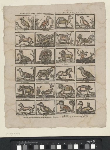 This Wild and Tame Beasts / And Birds Beautiful in Feathers // Are For You / O Young Youth / To Learn the A, B, C