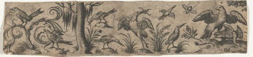 Fries with Ten Birds and an Insect