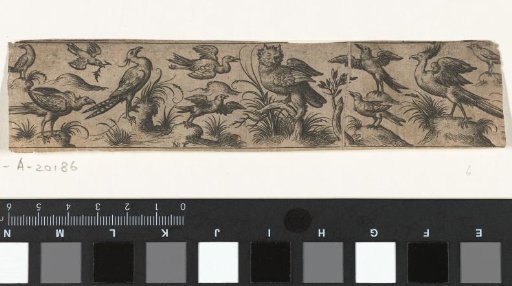 Frieze with eleven birds, including an owl
