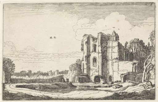 Ruin of Brederode Castle
