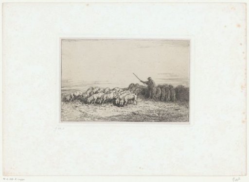 Swineherd with a herd
