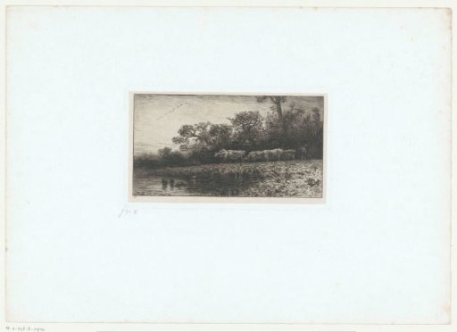Shepherd with a herd of cows by the water's edge