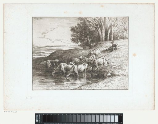 Shepherd with cows at a watering place
