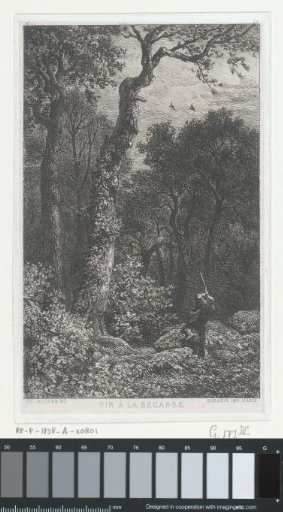 Hunter in a wood