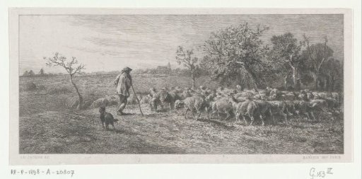 Shepherd with a flock in a meadow