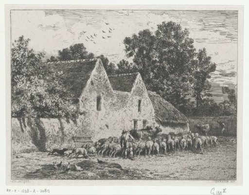 Farmers driving a flock to the barn