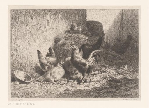 Chickens and rooster in the straw