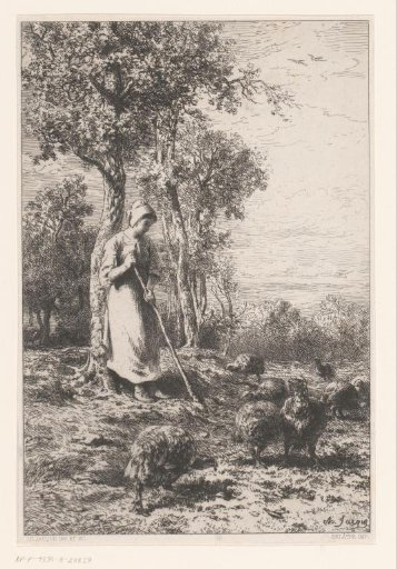 Woman working among chickens