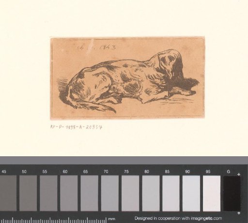 Reclining dog