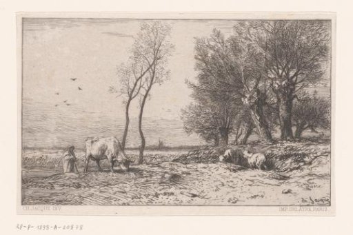 Grazing cow and sheep near pollard willows