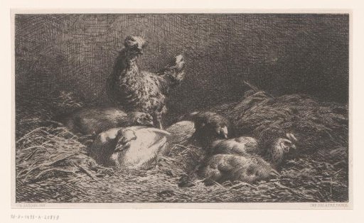 Rooster and hens in the straw