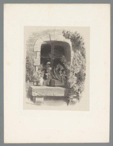 Window with spiderweb and plants, seen from outside
