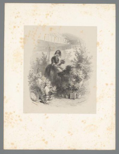 Young woman in a flower stall