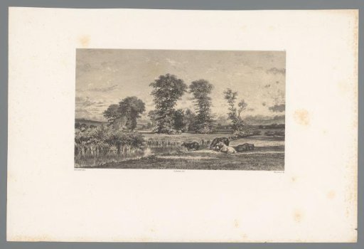 Vast landscape with horses