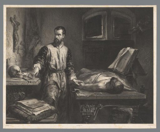 Physician performing a medical examination on a male body