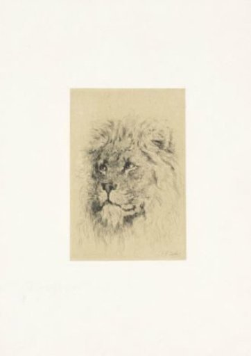 Head of a lion to the left