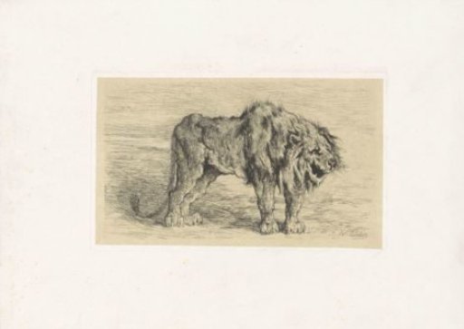 Standing lion to the right
