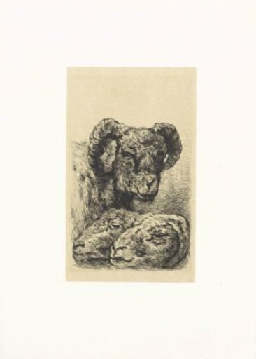 Three ram heads