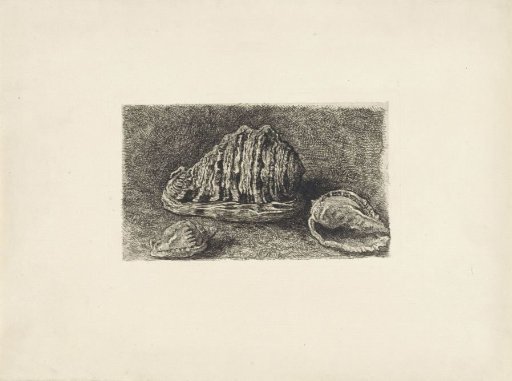 Three conch shells