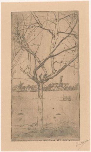 Bare fruit tree