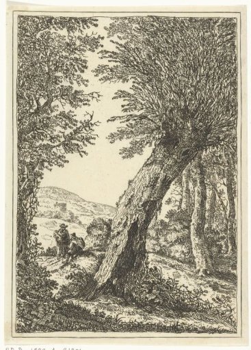 Willow Tree