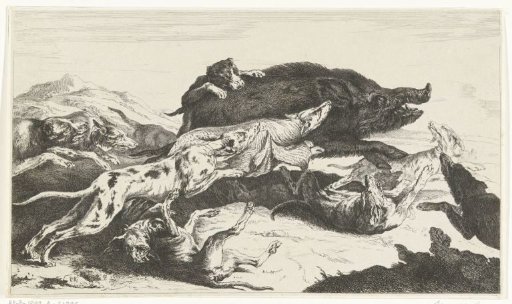 Dogs hunting a boar
