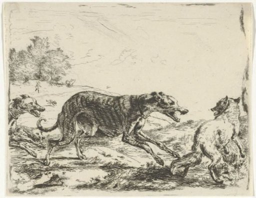 Fox and Three Dogs