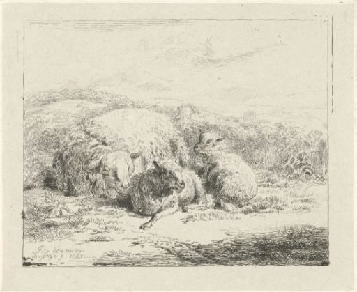 Lying sheep with two lambs