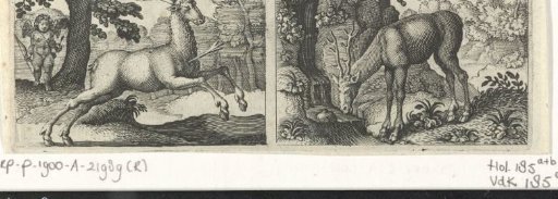 Wounded stag / Thirsty stag