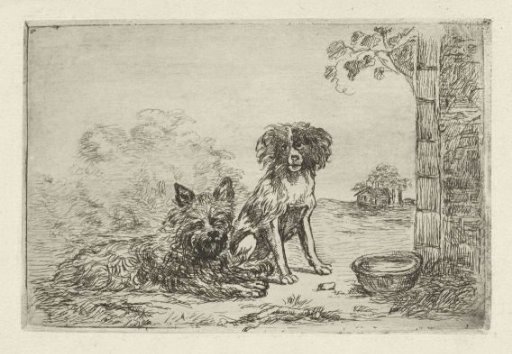 Two dogs