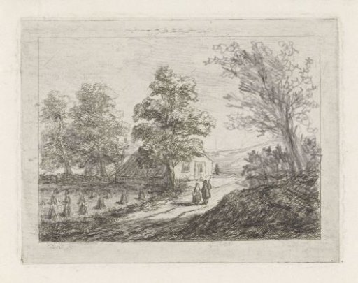 Hilly landscape