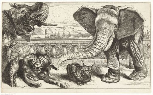 Elephants, lions and lynxes in the gardens of Versailles