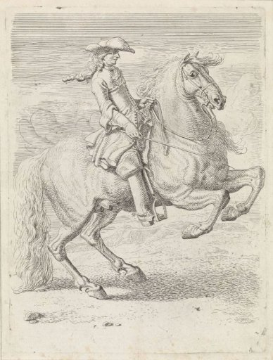 Rider Making His Horse Rear