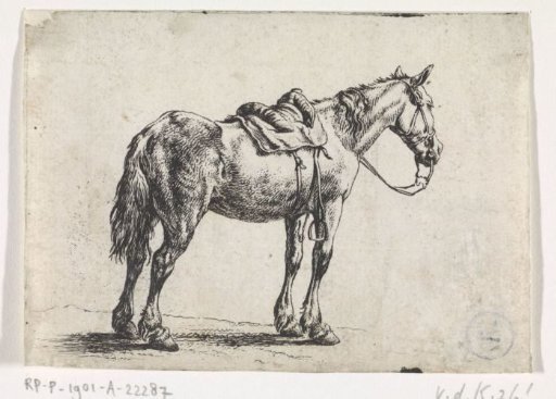 Horse rearing to the right