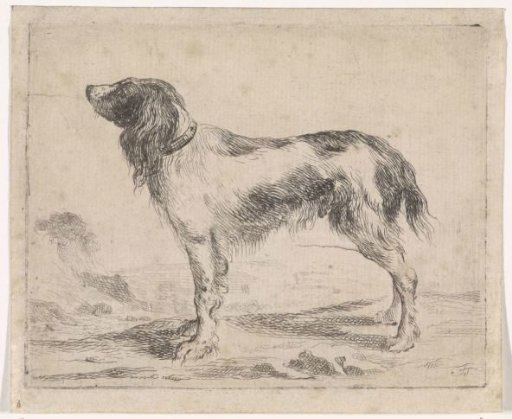 Standing Dog