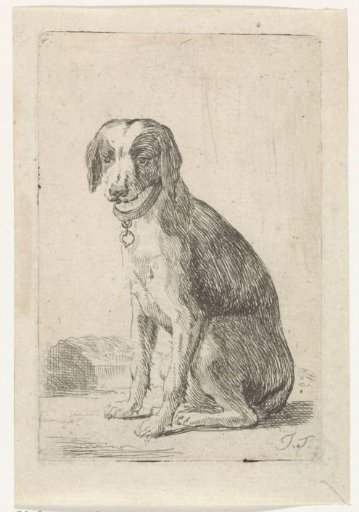 Sitting Dog with a Collar
