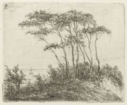 Coastal landscape with group of trees on dune