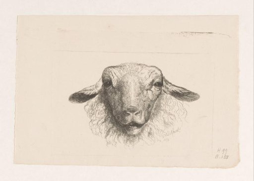 Sheep's Head