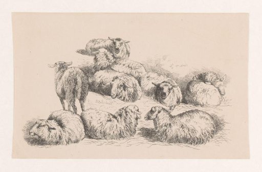 Nine Sheep