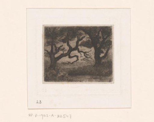 Wooded landscape with pool near Vaassen
