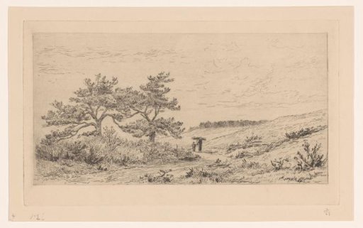 Heath landscape near Worth-Rheden