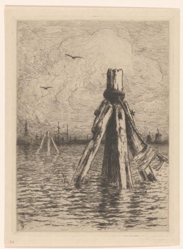 Cormorant near Dordrecht
