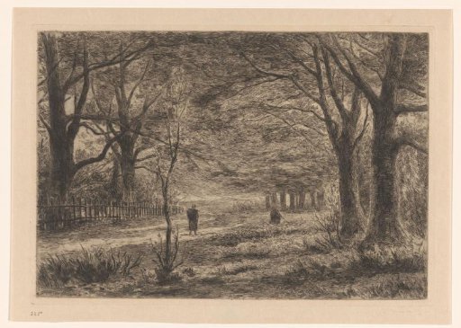 Forest View in Elswout