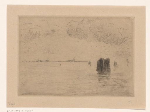 View of the Lagoon of Venice with a cormorant